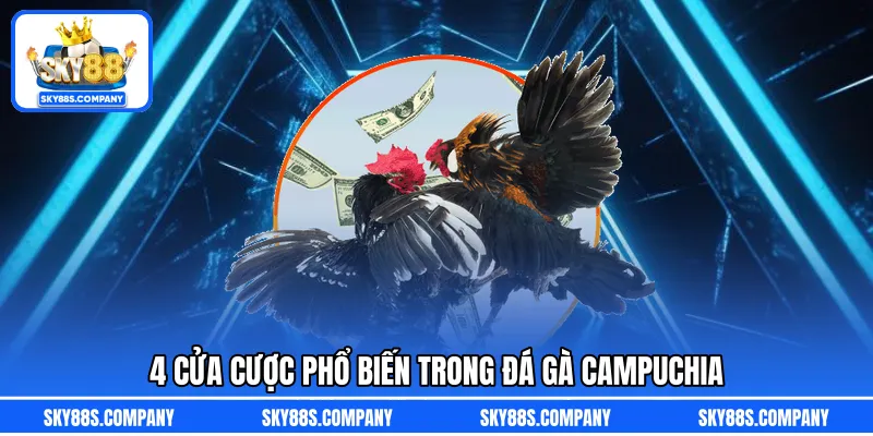 4 Cửa cược phổ biến trong đá gà Campuchia