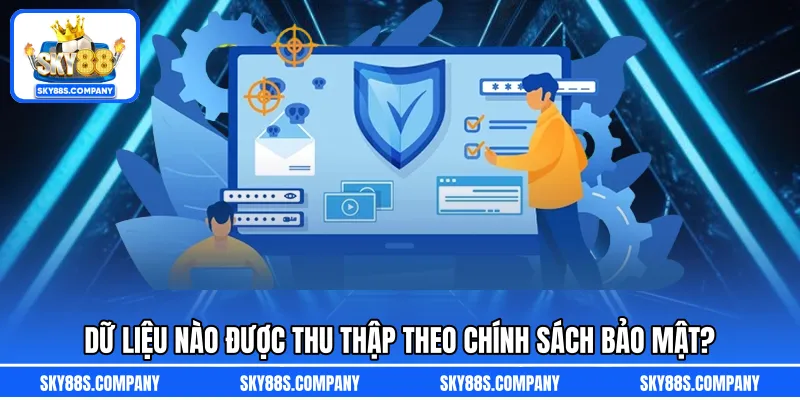 Dữ liệu nào được thu thập theo chính sách bảo mật?