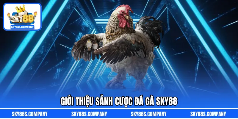 Giới thiệu sảnh cược đá gà SKY88