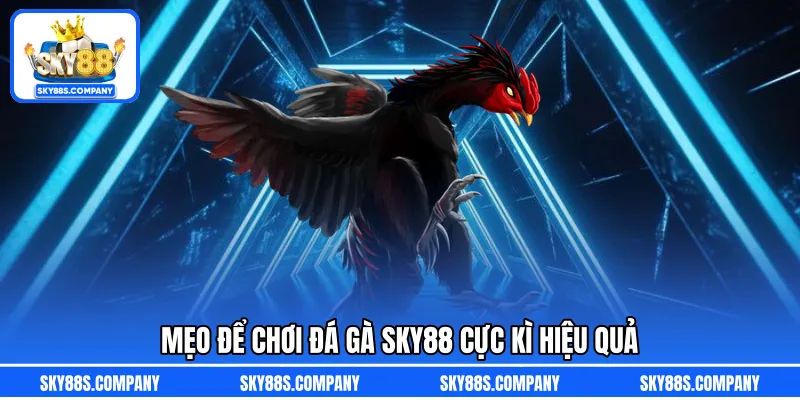 Mẹo để chơi đá gà SKY88 cực kì hiệu quả