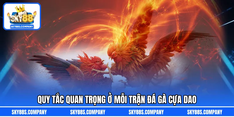 Quy tắc quan trọng ở mỗi trận đá gà cựa dao