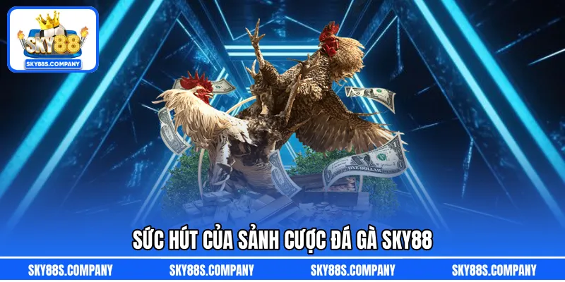 Sức hút của sảnh cược đá gà SKY88