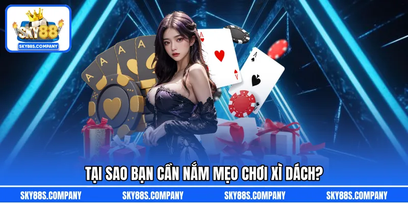 Tại sao bạn cần nắm mẹo chơi xì dách?
