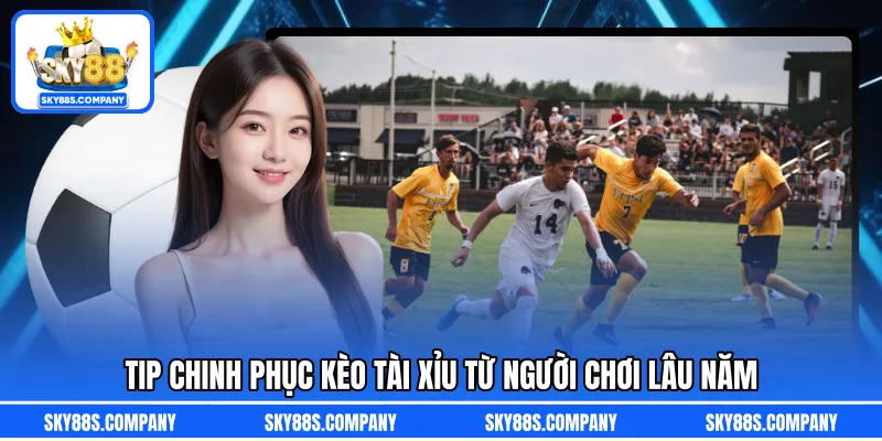 Tip chinh phục kèo tài xỉu từ người chơi lâu năm