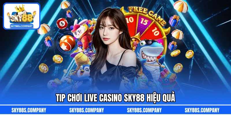 Tip chơi live casino SKY88 hiệu quả