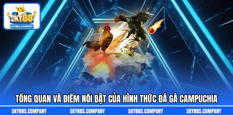 Tổng quan và điểm nổi bật của hình thức đá gà Campuchia
