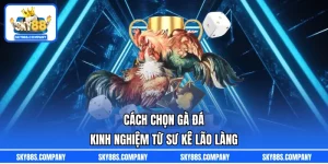 Cách Chọn Gà Đá - Kinh Nghiệm Từ Sư Kê Lão Làng