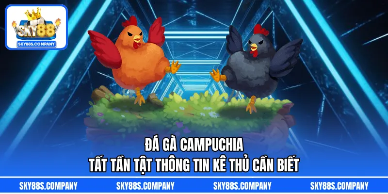 Đá Gà Campuchia – Tất Tần Tật Thông Tin Kê Thủ Cần Biết