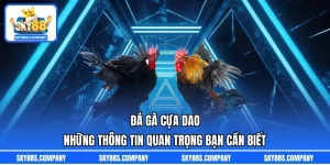 Đá Gà Cựa Dao – Những Thông Tin Quan Trọng Bạn Cần Biết