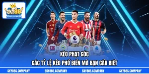 Kèo Phạt Góc - Các Tỷ Lệ Kèo Phổ Biến Mà Bạn Cần Biết