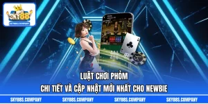 Luật Chơi Phỏm Chi Tiết Và Cập Nhật Mới Nhất Cho Newbie